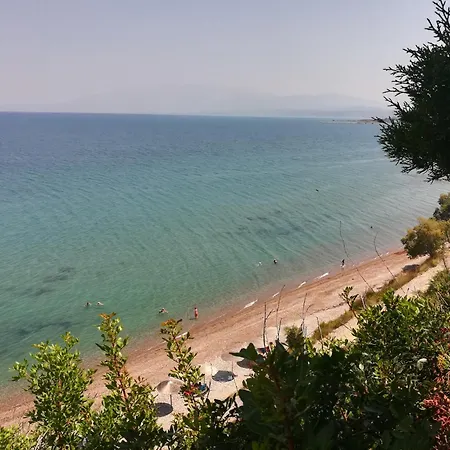 Koralli Sea View